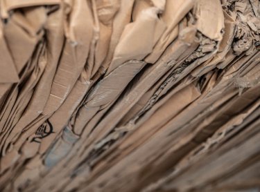 Cartón visto de cerca